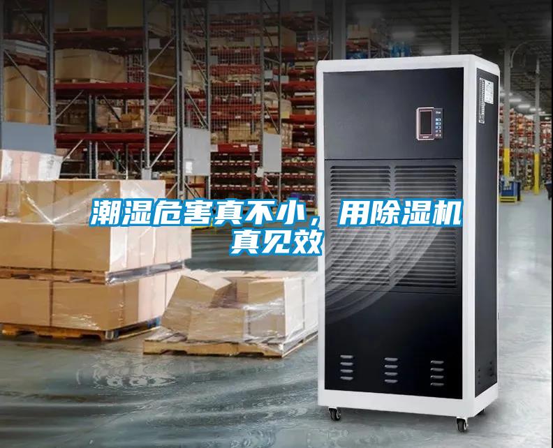 潮濕危害真不小，用除濕機真見效