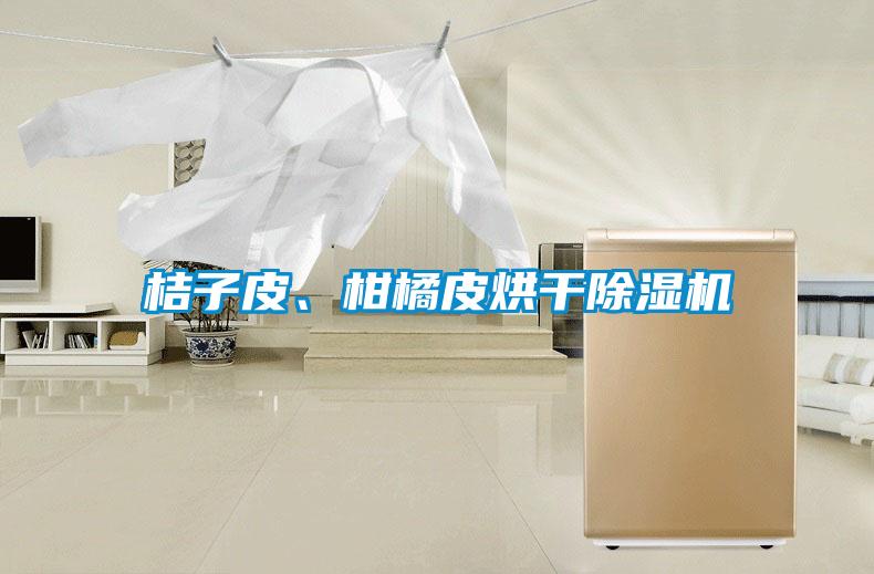 桔子皮、柑橘皮烘干除濕機