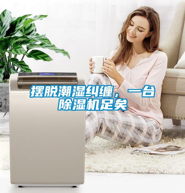 擺脫潮濕糾纏，一臺除濕機足矣