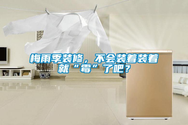 梅雨季裝修，不會裝著裝著就“霉”了吧？