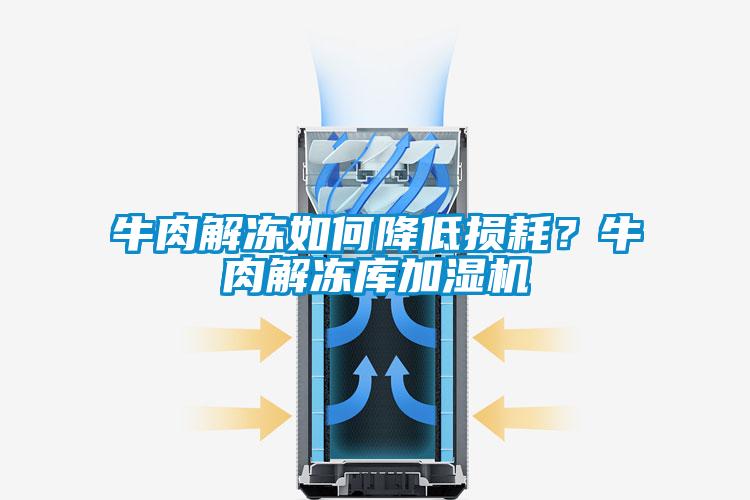 牛肉解凍如何降低損耗？牛肉解凍庫加濕機