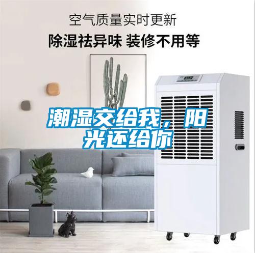 潮濕交給我，陽光還給你