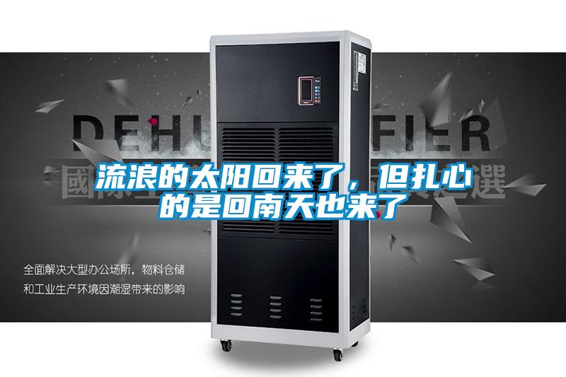 流浪的太陽回來了，但扎心的是回南天也來了