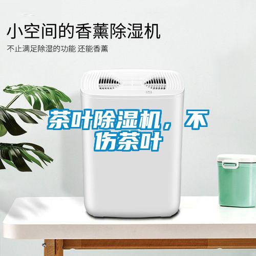 茶葉除濕機，不傷茶葉