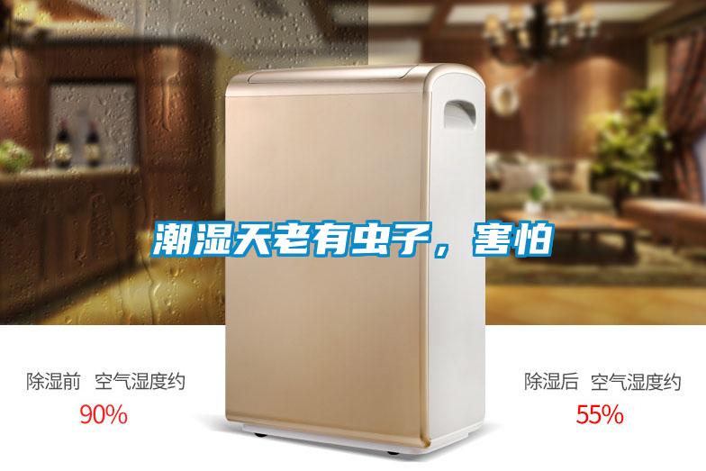 潮濕天老有蟲子，害怕