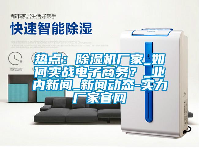 熱點：除濕機廠家_如何實戰電子商務？_業內新聞_新聞動態-實力廠家官網