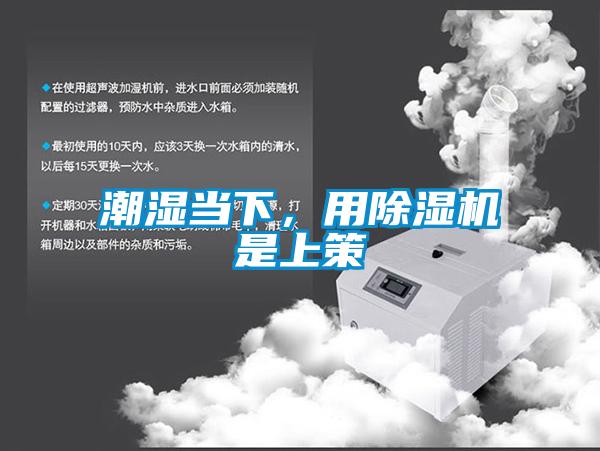 潮濕當下，用除濕機是上策