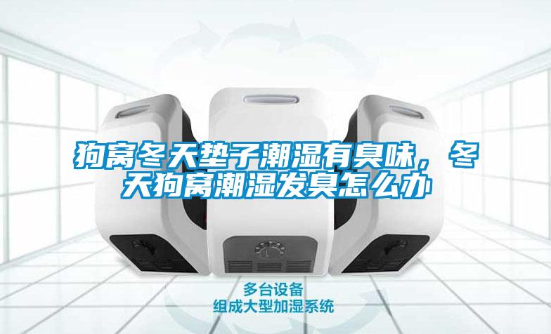 狗窩冬天墊子潮濕有臭味，冬天狗窩潮濕發臭怎么辦