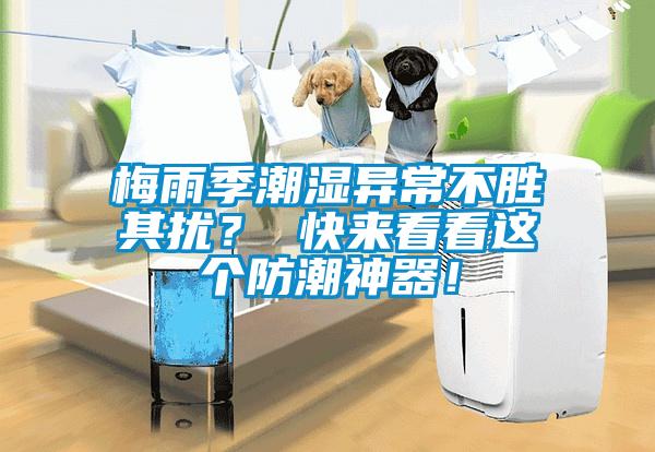 梅雨季潮濕異常不勝其擾？ 快來看看這個防潮神器！