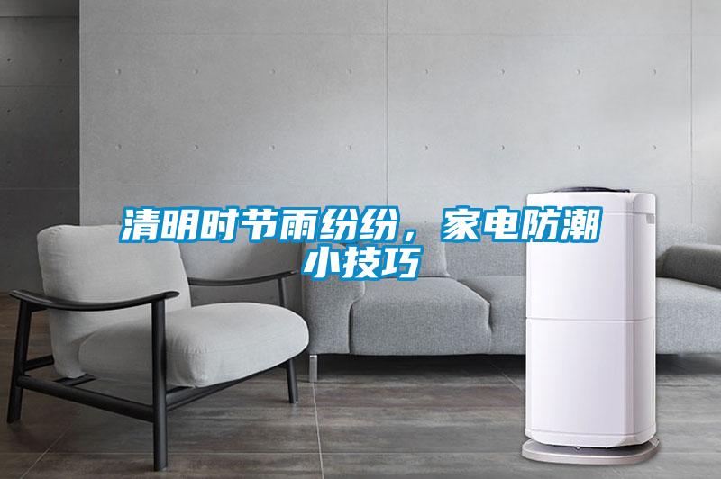 清明時節雨紛紛，家電防潮小技巧