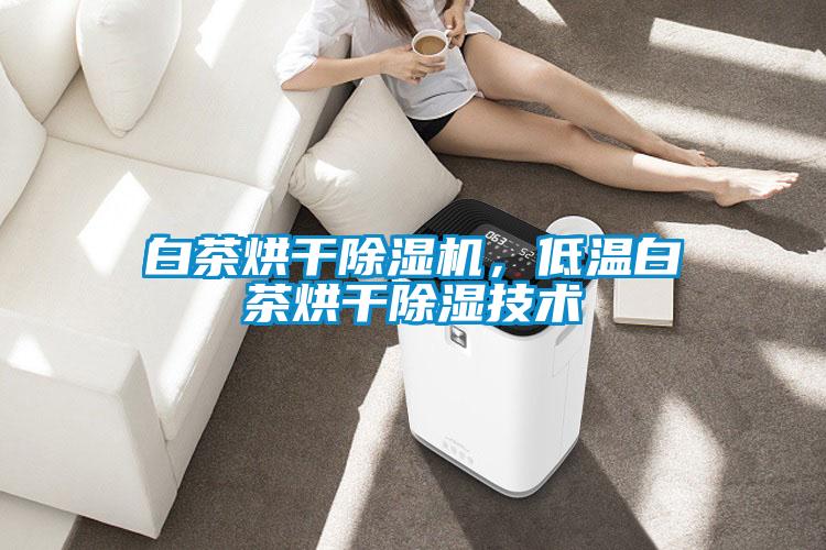白茶烘干除濕機，低溫白茶烘干除濕技術