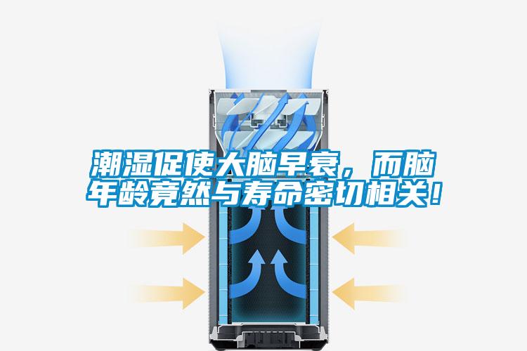 潮濕促使大腦早衰，而腦年齡竟然與壽命密切相關！