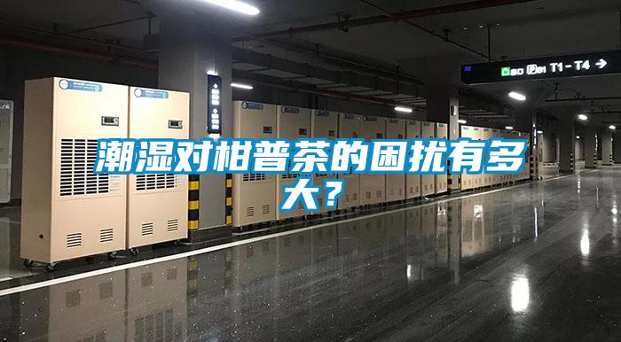 潮濕對柑普茶的困擾有多大？