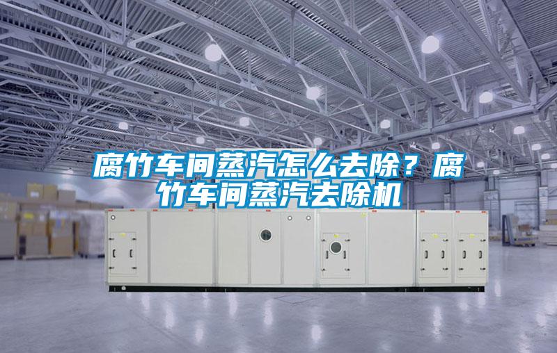腐竹車間蒸汽怎么去除？腐竹車間蒸汽去除機