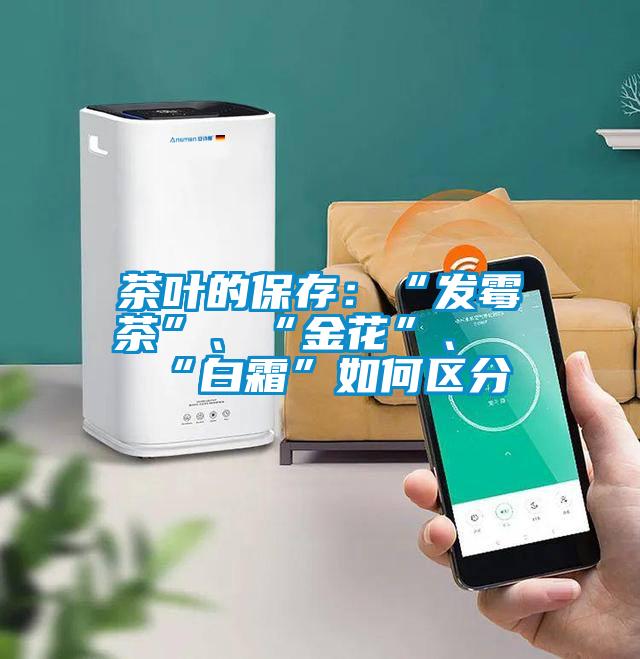 茶葉的保存：“發霉茶”、“金花”、“白霜”如何區分