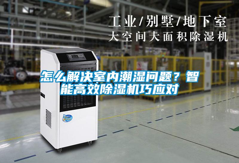 怎么解決室內潮濕問題？智能高效除濕機巧應對
