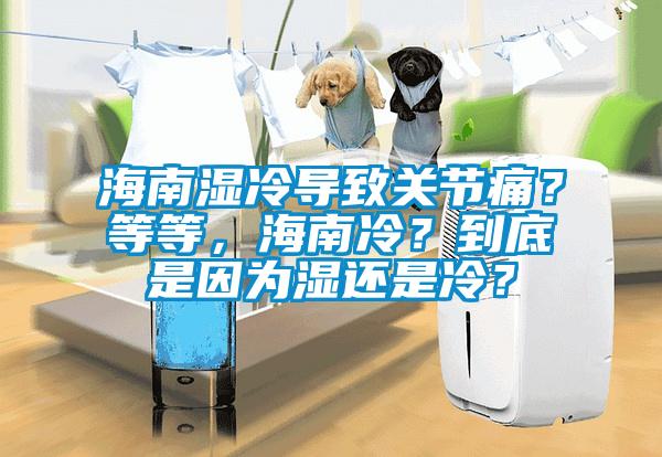 海南濕冷導致關節痛？等等，海南冷？到底是因為濕還是冷？