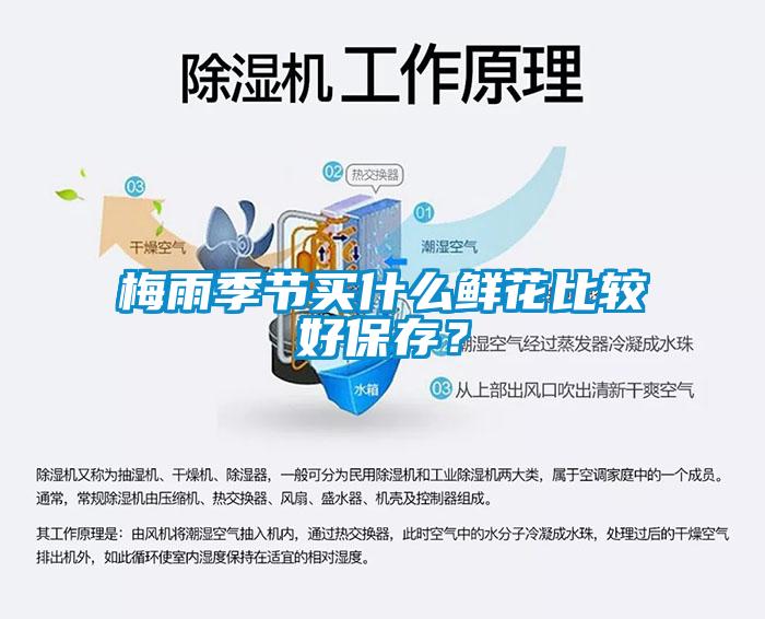 梅雨季節買什么鮮花比較好保存？
