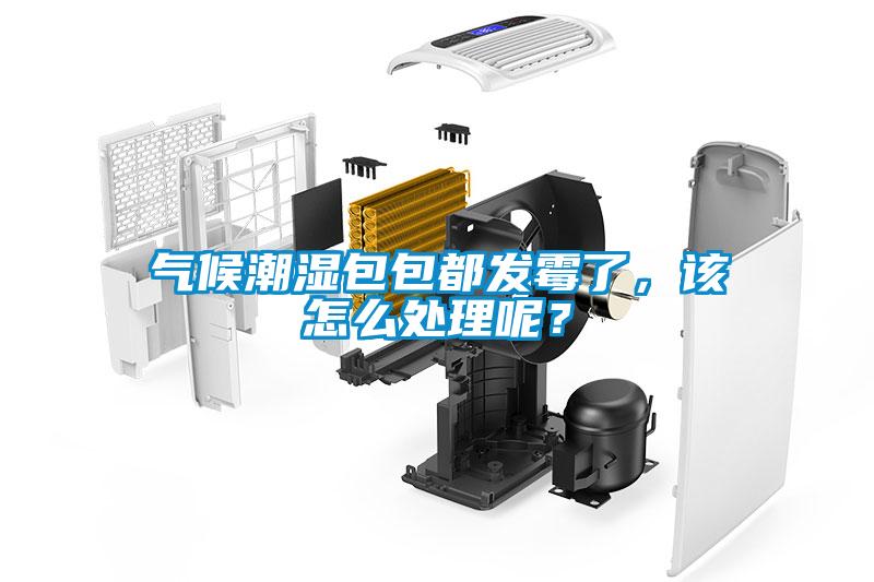 氣候潮濕包包都發霉了，該怎么處理呢？