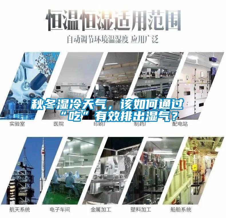 秋冬濕冷天氣，該如何通過“吃”有效排出濕氣？