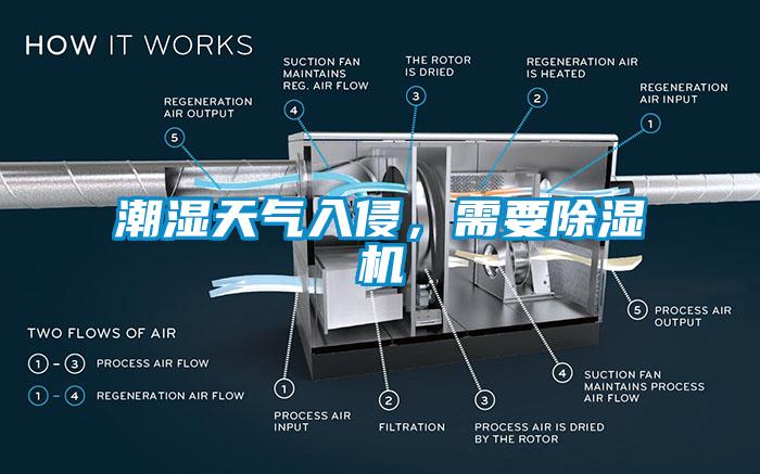 潮濕天氣入侵，需要除濕機