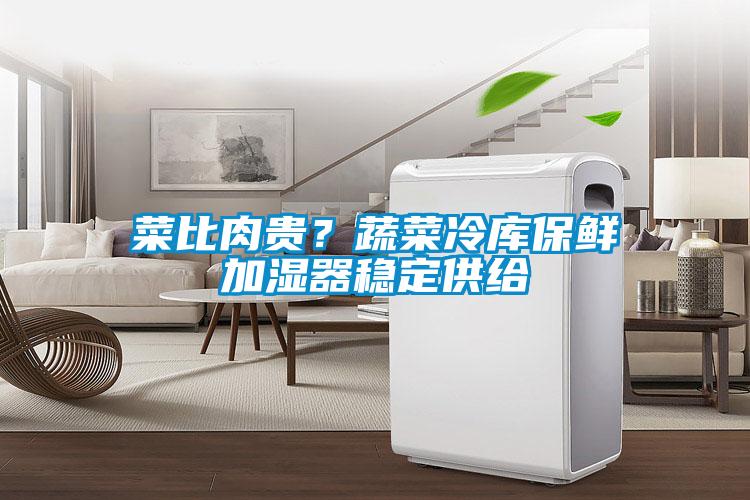 菜比肉貴？蔬菜冷庫保鮮加濕器穩定供給