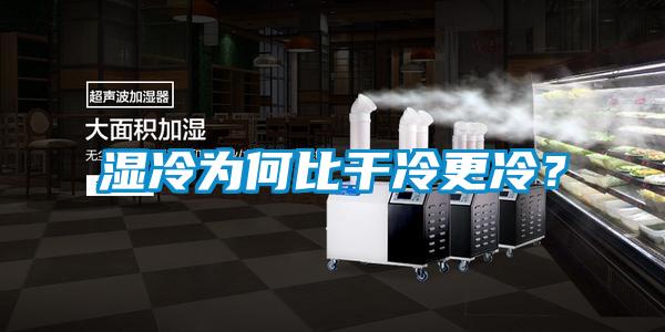 濕冷為何比干冷更冷？