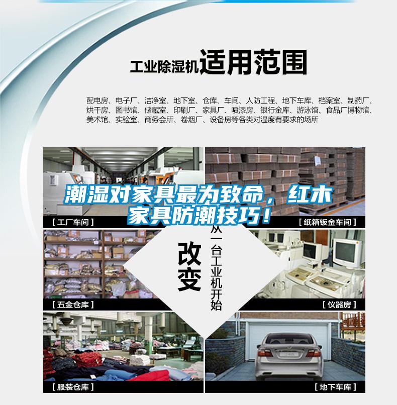 潮濕對家具最為致命，紅木家具防潮技巧！