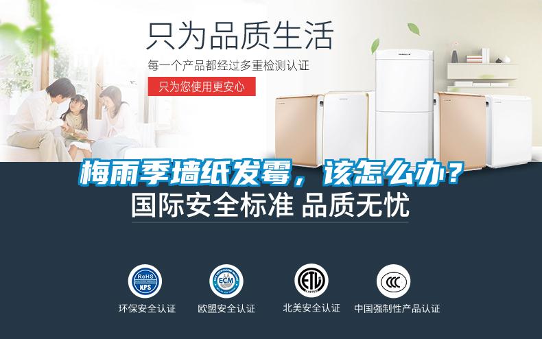 梅雨季墻紙發霉，該怎么辦？
