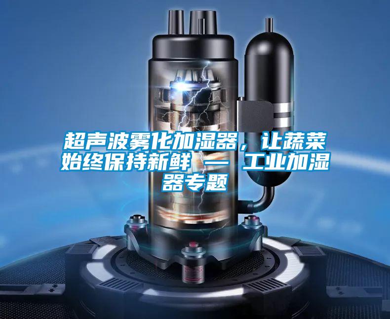 超聲波霧化加濕器，讓蔬菜始終保持新鮮 — 工業加濕器專題