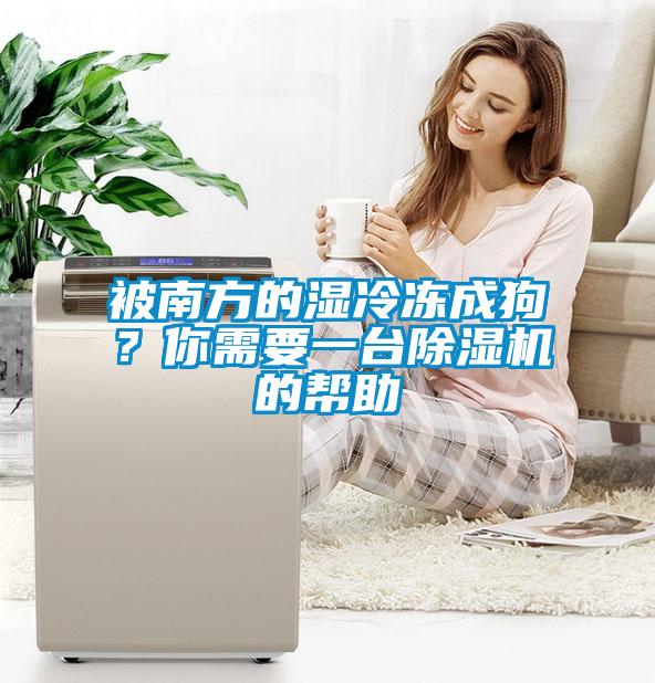 被南方的濕冷凍成狗？你需要一臺除濕機的幫助