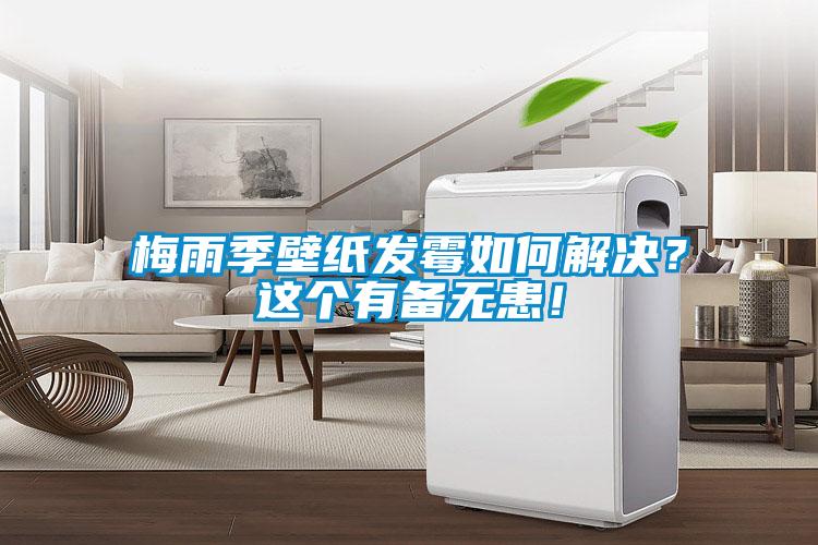 梅雨季壁紙發霉如何解決？這個有備無患！