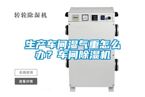 生產車間濕氣重怎么辦？車間除濕機