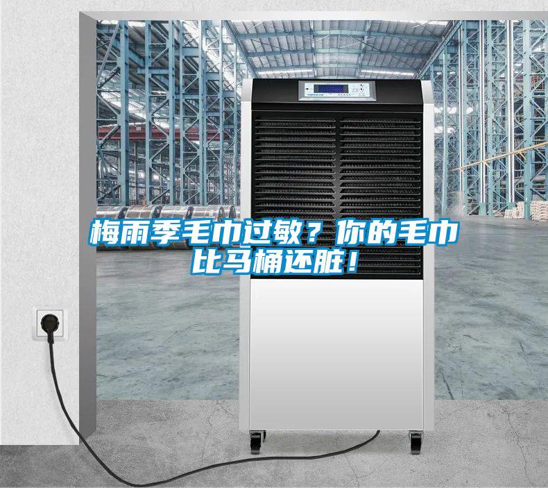 梅雨季毛巾過敏？你的毛巾比馬桶還臟！