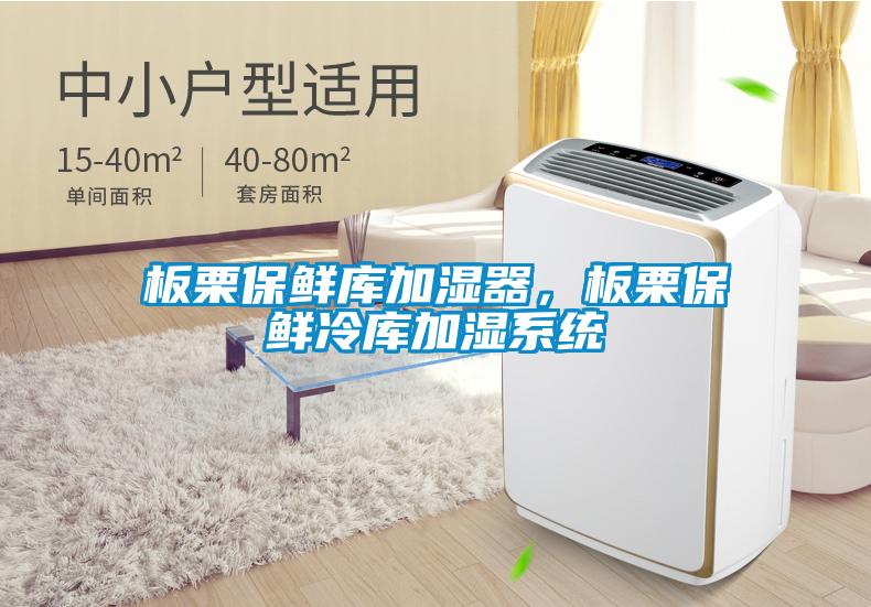 板栗保鮮庫加濕器，板栗保鮮冷庫加濕系統