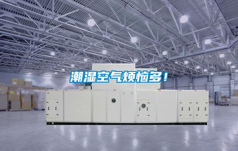 潮濕空氣煩惱多！