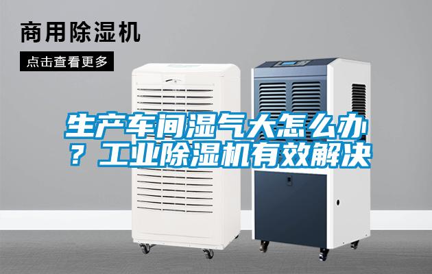 生產車間濕氣大怎么辦？工業除濕機有效解決