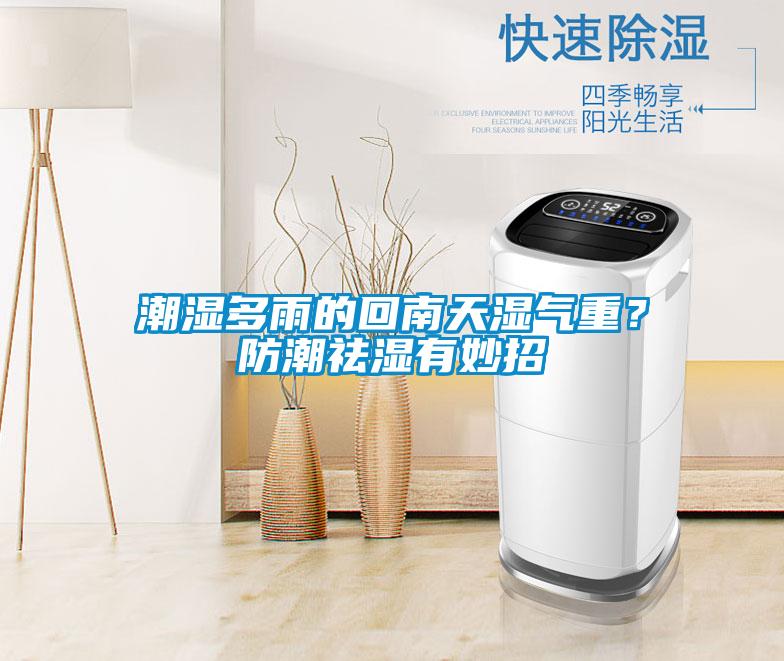潮濕多雨的回南天濕氣重？防潮祛濕有妙招
