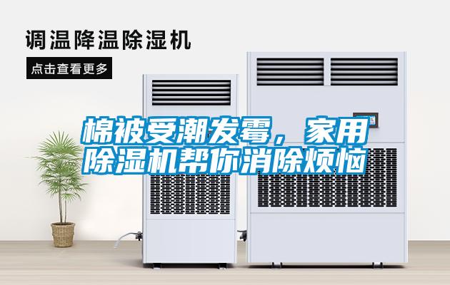 棉被受潮發霉，家用除濕機幫你消除煩惱