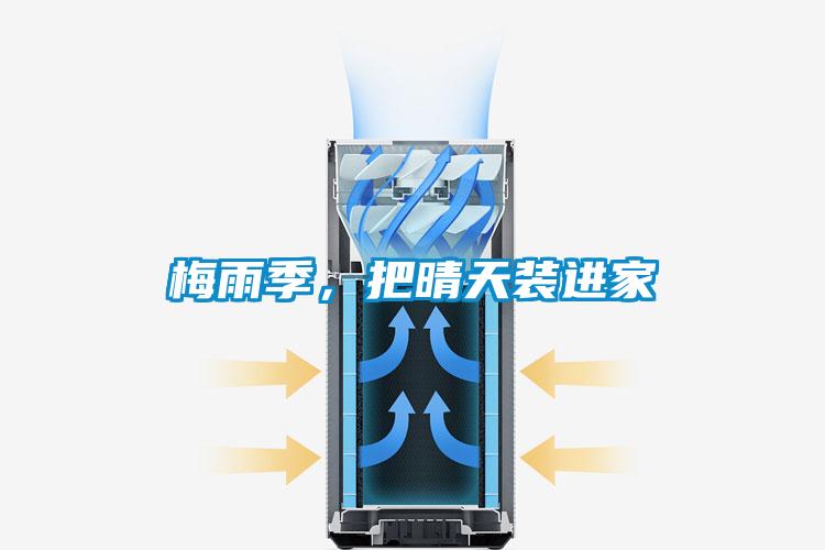 梅雨季，把晴天裝進家
