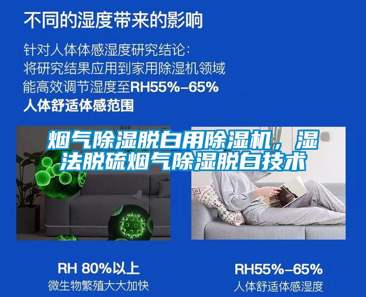 煙氣除濕脫白用除濕機，濕法脫硫煙氣除濕脫白技術