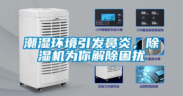 潮濕環境引發鼻炎，除濕機為你解除困擾