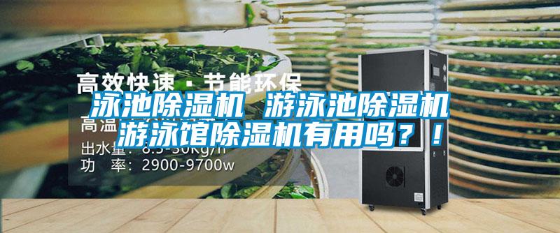 泳池除濕機 游泳池除濕機 游泳館除濕機有用嗎？！
