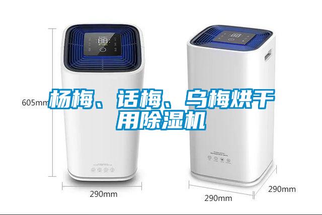 楊梅、話梅、烏梅烘干用除濕機