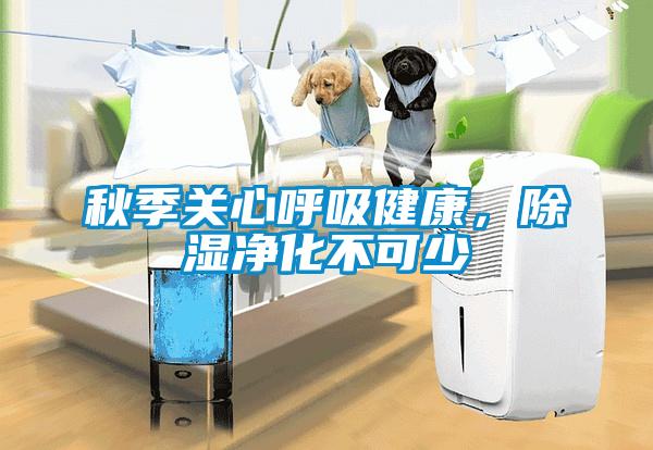 秋季關心呼吸健康，除濕凈化不可少