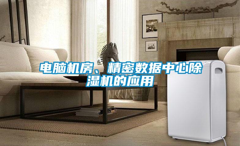 電腦機房、精密數據中心除濕機的應用