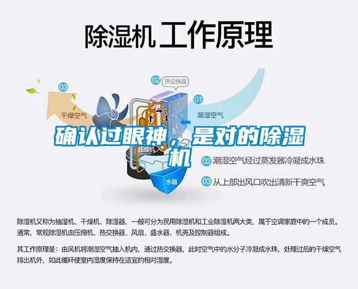 確認過眼神，是對的除濕機
