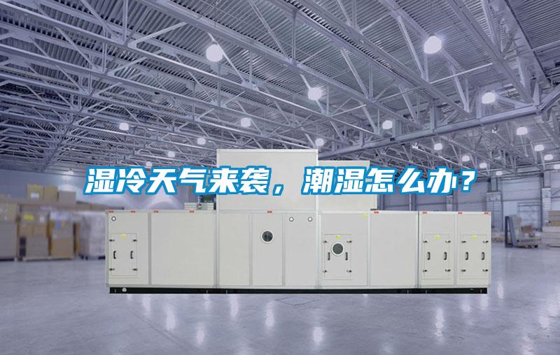 濕冷天氣來襲，潮濕怎么辦？