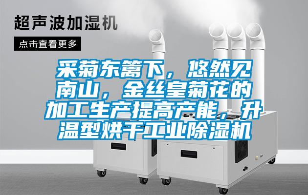 采菊東籬下，悠然見南山，金絲皇菊花的加工生產提高產能，升溫型烘干工業除濕機