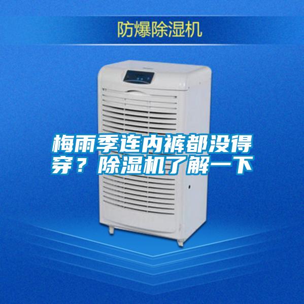 梅雨季連內褲都沒得穿？除濕機了解一下